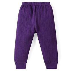 Babyhug Full Length Solid Color Thermal Pant - Purple
