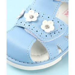 Cute Walk by Babyhug Slip On Sandals with Floral Appliques & Velcro Closure - Blue