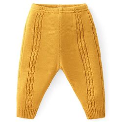Babyhug Fleece Knit Full Length Woollen Pants With Cable Knit Design - Red