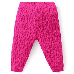 Babyhug Fleece Knit Full Length Woollen Pants With Cable Knit Design - Purple