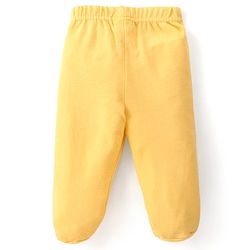Babyhug Interlock Knit Striped Bootie Leggings with Vehicle & Text Print Pack of 3 - Multicolour