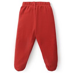 Babyhug Interlock Cotton Knit Striped Footed Bootie Leggings with Koala Bear Print Pack of 3 - Multicolour