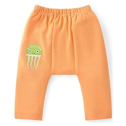 Babyhug Cotton Knit Anti-Microbial Ankle Length Diaper Leggings with Fish Print Pack of 5 - Multicolour
