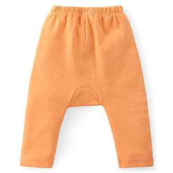 Babyhug Cotton Knit Anti-Microbial Ankle Length Diaper Leggings with Fish Print Pack of 5 - Multicolour