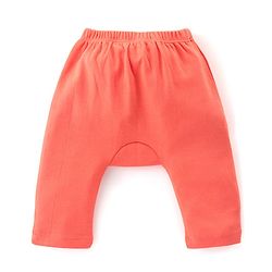 Babyhug Cotton Knit Anti-Microbial Ankle Length Diaper Pants with Animal Print Pack of 3 - Blue & Red