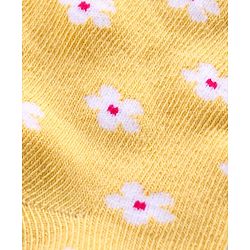 Cute Walk by Babyhug Ankle Length Antibacterial Knitted Floral Design Socks Pack Of 3 - Blue Red & Yellow