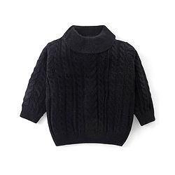 Babyhug Knitted Full Sleeves Turtle Neck Pullover Sweater with Cable Knit Design - Black