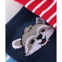 Cutewalk By Babyhug Anti Bacterial Ankle Length Striped & Teddy Bear Design Socks Pack of 5 - Blue Red & White