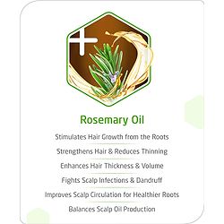 Babyhug Advanced Infused Rosemary Hair Oil - 200 ml