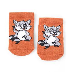 Cute Walk by Babyhug Knit Anti-Bacterial Ankle Length Socks with Raccoon & Bear Design Pack of 3 - Orange Green & Blue
