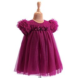 Babyhug  Woven Half Puffed Sleeves Mesh Shimmered Party Frock with Ruffle Detailing & Floral Applique - Wine