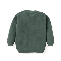 Babyhug Knit Full  Sleeves Pullover Sweater with Lion Design - Green