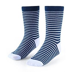 Cute Walk by Babyhug Anti-Bacterial Ankle Length Socks with Stripes & Lion Design Pack of 5 - Blue