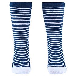 Cute Walk by Babyhug Anti-Bacterial Ankle Length Socks with Stripes & Lion Design Pack of 5 - Blue