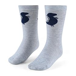 Cute Walk by Babyhug Anti-Bacterial Ankle Length Socks with Stripes & Lion Design Pack of 5 - Blue