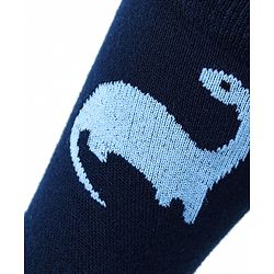 Cute Walk by Babyhug Anti-Bacterial Ankle Length Socks with Stripes & Lion Design Pack of 5 - Blue