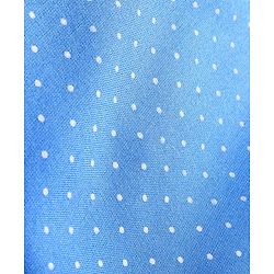 Babyhug Rayon Woven Full Sleeves Polka Dot Printed Top With Peter Pan Collar - Blue