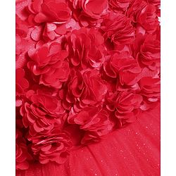 Babyhug Woven Sleeveless Mesh Party Dress with Floral Applique & Shimmer Detailing - Red