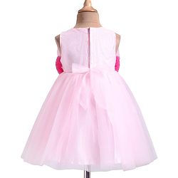 Babyhug Woven Sleeveless Mesh Party Dress with Ruffle Yoke & Floral Applique - Pink