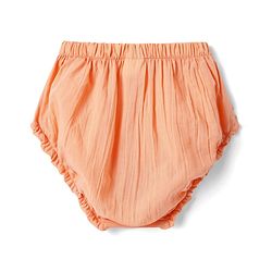 Babyhg Cotton Knit Frill Sleeves Frock With Bloomer & Head Band with Cut out Detailing - Orange