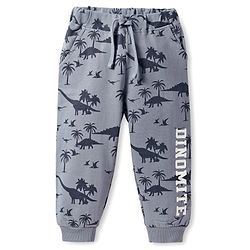 Babyhug Terry Knit Full Length Lounge Pant With Dino & Text Print - Grey