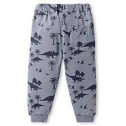Babyhug Terry Knit Full Length Lounge Pant With Dino & Text Print - Grey