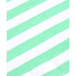 Babyhug 100% Cotton Knit Half Sleeves Striped T-Shirt - Light Green & White