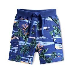 Babyhug Terry Knit Mid Thigh Shorts With Beach Print - Blue