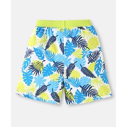 Babyhug Cotton Single Jersey Knit Striped Shorts With Leafy Print Pack of 3 - Lime Green & Navy