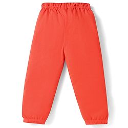 Babyhug Cotton Jersey Knit Full Length Solid Lounge Pants Pack of 5 - Multi Color