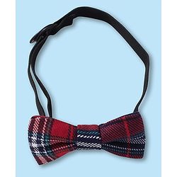 Babyhug Woven Half Sleeves Solid Color Shirt with Checkered Shorts with attached Suspender & Bow - White Navy & Red