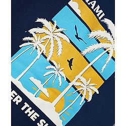 Babyhug Cotton Knit Half Sleeves T-Shirts with Tropical Theme Print & Stripes Pack of 3 - Navy & Aqua Blue