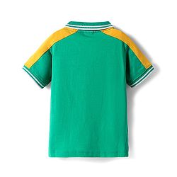 Babyhug Cotton Knit Half Sleeves Cut & Sew Polo T-Shirt With Beach Sport Print - Light Green