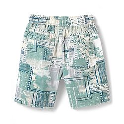 Babyhug Cotton Woven Half Sleeves Printed Shirt & Shorts Co-Ord Set - Multicolor