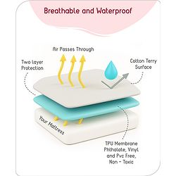 Babyhug 100% Cotton Waterproof Fitted Mattress Protector Cover - Maroon