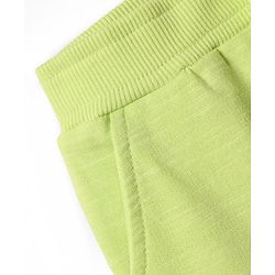 Babyhug Cotton Terry Knit Mid Thigh Shorts With Text Print - Lime Green