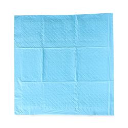 Babyhug Disposable Diaper Changing Mat Medium Size Pack of 10 - Blue