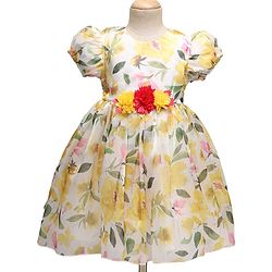 Babyhug Woven Half Sleeves Party Dress With Floral Print & Applique - White