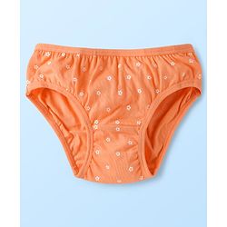 Babyhug 100% Cotton Stripes Floral & Tropical Theme Printed Panties Pack Of 3 - Multi Colour