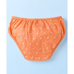 Babyhug 100% Cotton Stripes Floral & Tropical Theme Printed Panties Pack Of 3 - Multi Colour