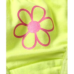 Babyhug 100% Cotton Single Jersey Knit Panties With Stripes & Floral Print Pack Of 3 - Lime & Pink