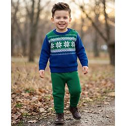 Babyhug Knitted Full Sleeves Sweater Set With Floral Design - Blue & Green