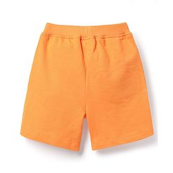 Babyhug Single Jersey Knit Sleeveless Tank T-Shirt & Shorts Set with Animal Print - Blue & Orange