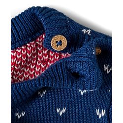 Babyhug Organic Cotton Knitted Full Sleeves Sweater Set With Penguin Design & Cap - Navy Blue & Red