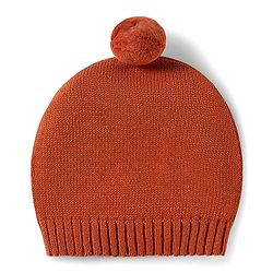 Babyhug Organic Cotton Knit Full Sleeves Sweater Set with Teddy Bear Print & Cap - Brown