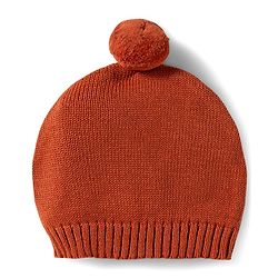 Babyhug Organic Cotton Knit Full Sleeves Sweater Set with Teddy Bear Print & Cap - Brown