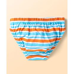 Babyhug 100% Cotton Single Jersey Knit Antibacterial Briefs With Star Stripes & Dino Print Pack Of 3 - Orange Navy Blue & Light Blue