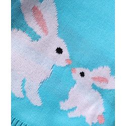Babyhug Knitted Full Sleeves Sweater Set with Bunny Design - Pink & Light Blue