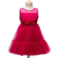 Babyhug Woven Sleeveless Mesh Party Dress With Floral Corsage - Dark Pink