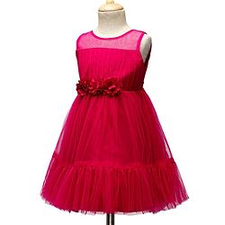 Babyhug Woven Sleeveless Mesh Party Dress With Floral Corsage - Dark Pink